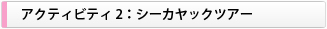 アクティビティ２：シーカヤックツアー