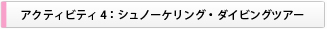 アクティビティ４：シュノーケリング